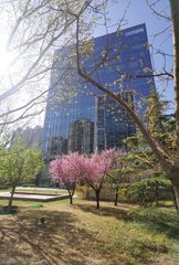 联美大厦 百子湾 核心办公 - 缩略图 3