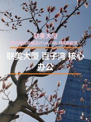 联美大厦 百子湾 核心办公 - 缩略图 1