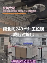 纯北向249㎡！工位现成随时拎包 - 缩略图 1