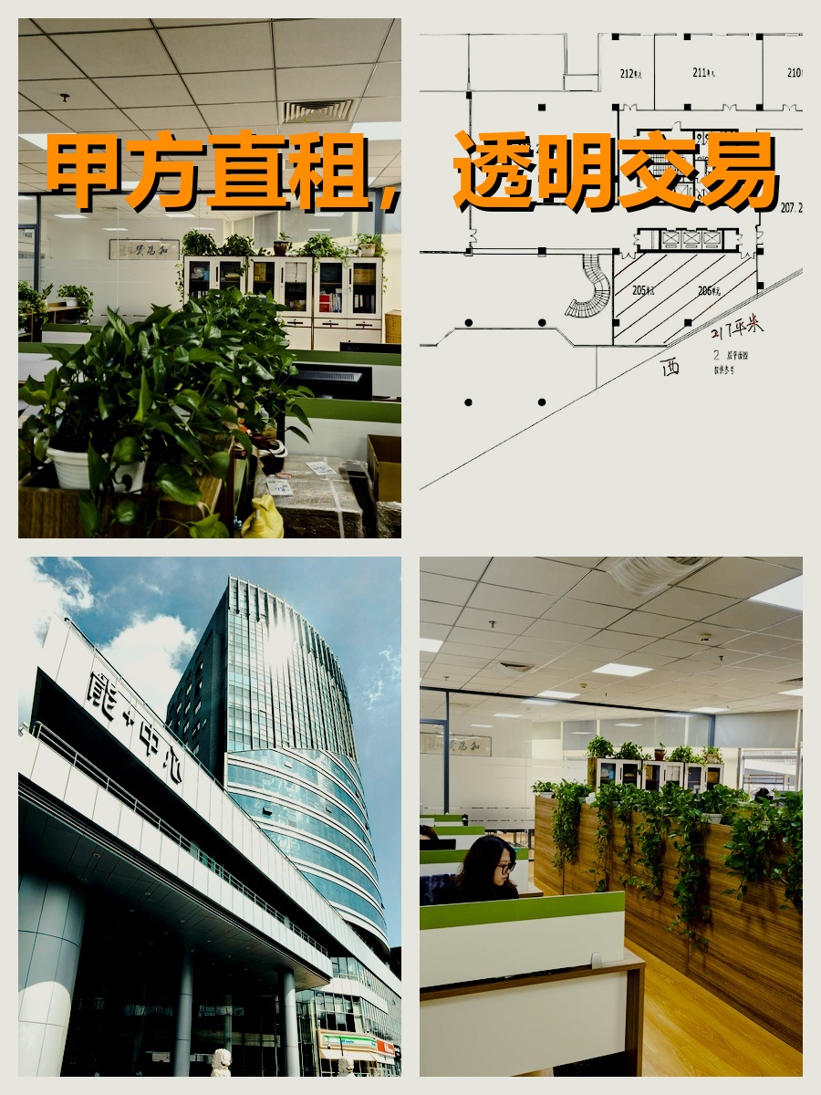 真房｜能+中心 |217平｜面议｜地铁口办公新选择