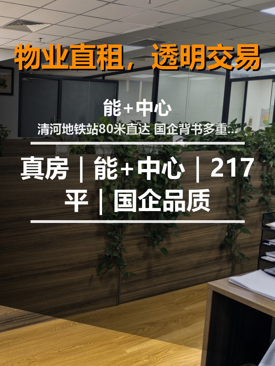 真房｜能+中心｜217平｜国企品质