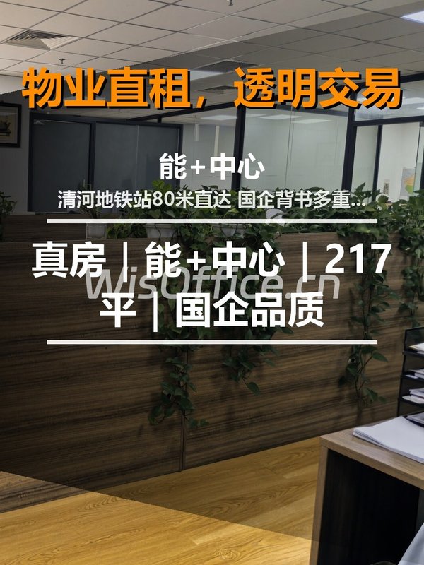 真房｜能+中心｜217平｜国企品质 - 首图