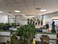 真房｜能+中心 |217平｜面议｜地铁口办公新选择 - 缩略图 5