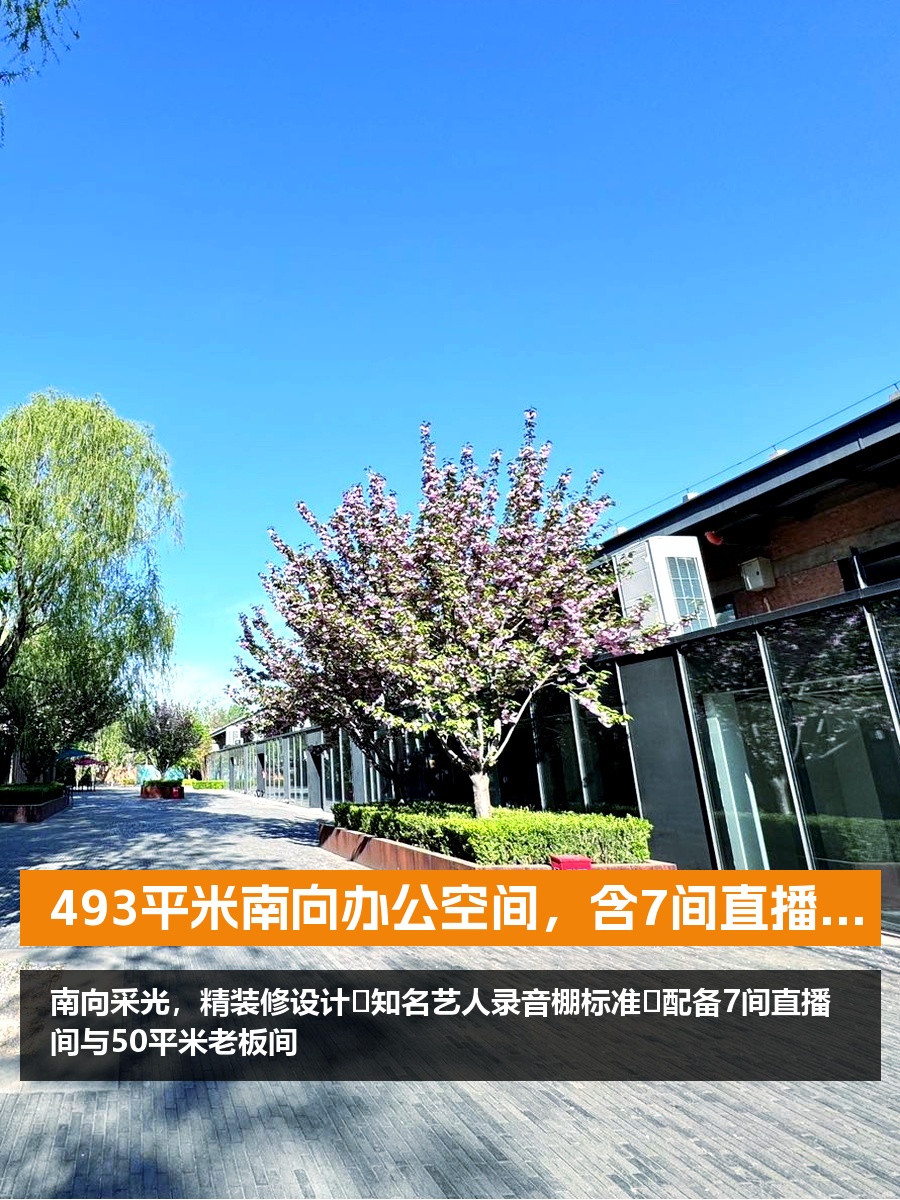 493平米南向办公空间，含7间直播间