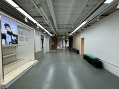 花园里独栋685平 三层电梯直达 - 缩略图 2