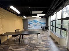 花园里独栋685平 三层电梯直达 - 缩略图 7