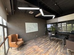 花园里独栋685平 三层电梯直达 - 缩略图 10