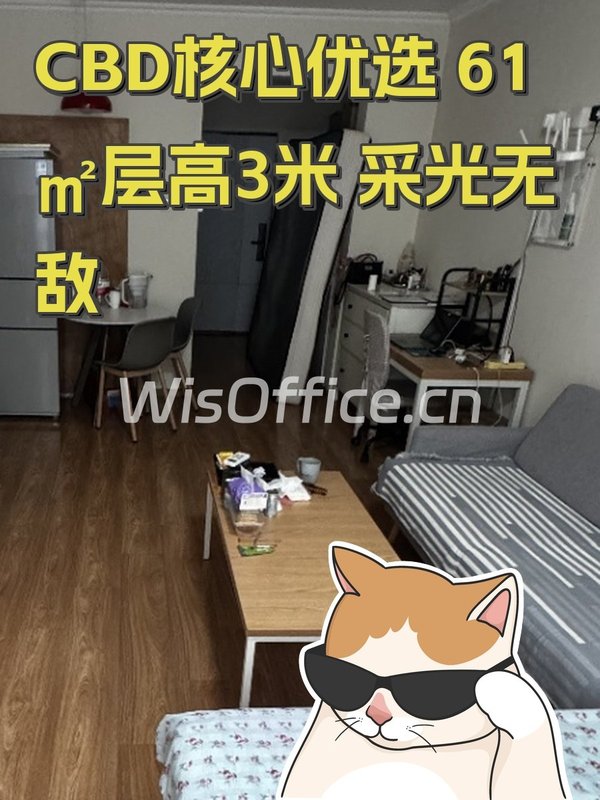 CBD核心优选 61㎡层高3米 采光无敌 - 首图