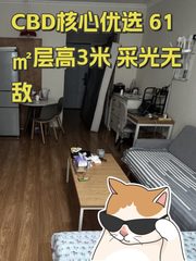 CBD核心优选 61㎡层高3米 采光无敌 - 缩略图 1