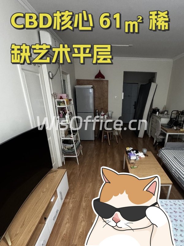 CBD核心 61㎡ 稀缺艺术平层 - 首图
