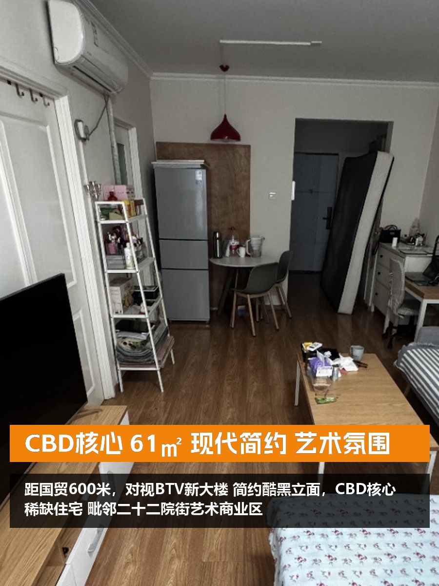 CBD核心 61㎡ 现代简约 艺术氛围