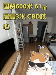 国贸600米 61㎡ 层高3米 CBD核心 - 缩略图 1