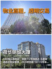 真房｜荷华明城大厦｜168平｜建国门 - 缩略图 1