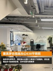 菁英梦谷独栋办公630平带院 - 缩略图 1