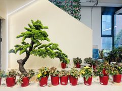 630平独栋带院 菁英梦谷C位办公 - 缩略图 6