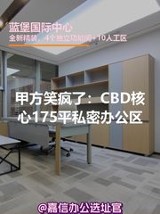 甲方笑疯了：CBD核心175平私密办公区 - 缩略图 1