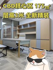 CBD核心区 175㎡ 层高3米 全新精装 - 缩略图 1