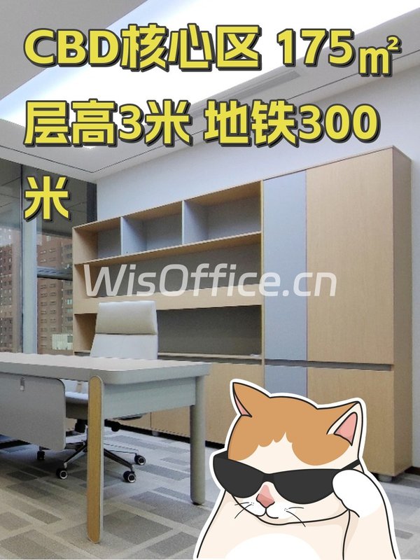 CBD核心区 175㎡ 层高3米 地铁300米 - 首图