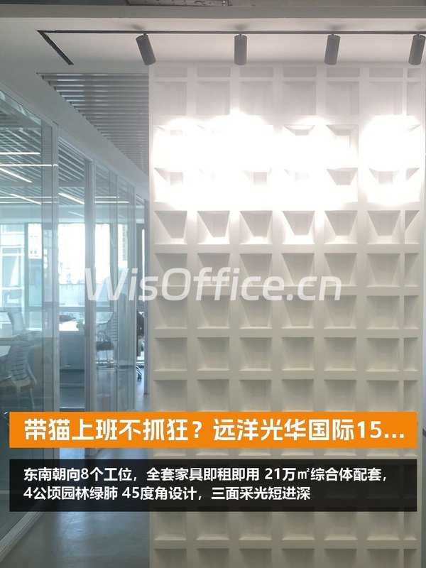 带猫上班不抓狂？远洋光华国际150平体验 - 首图