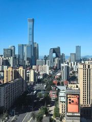 真房｜远洋国际中心 |243平｜综合体 - 缩略图 4