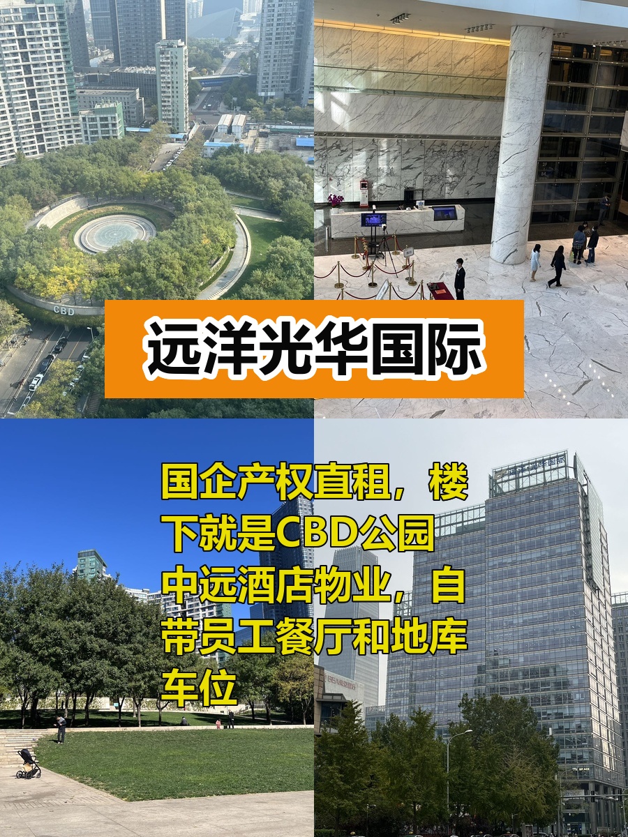 CBD公园旁的国企写字楼，超治愈！