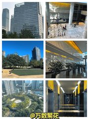 CBD核心 远洋光华国际 1243平国企直租 - 缩略图 1