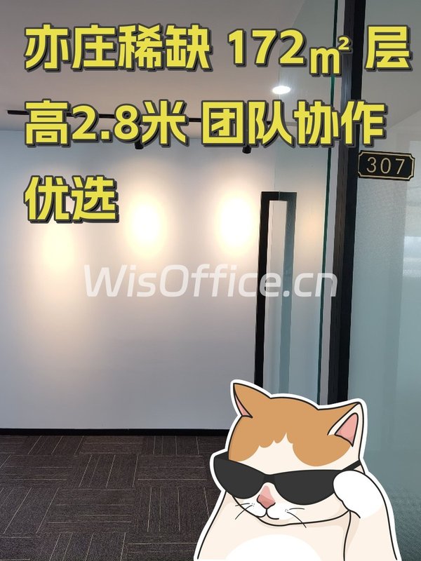 亦庄稀缺 172㎡ 层高2.8米 团队协作优选 - 首图