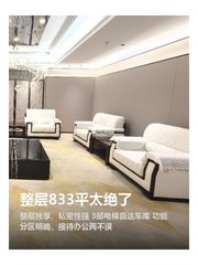 整层833平太绝了 - 缩略图 1