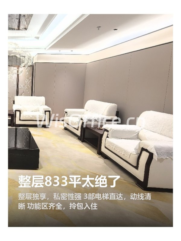 整层833平太绝了 - 首图