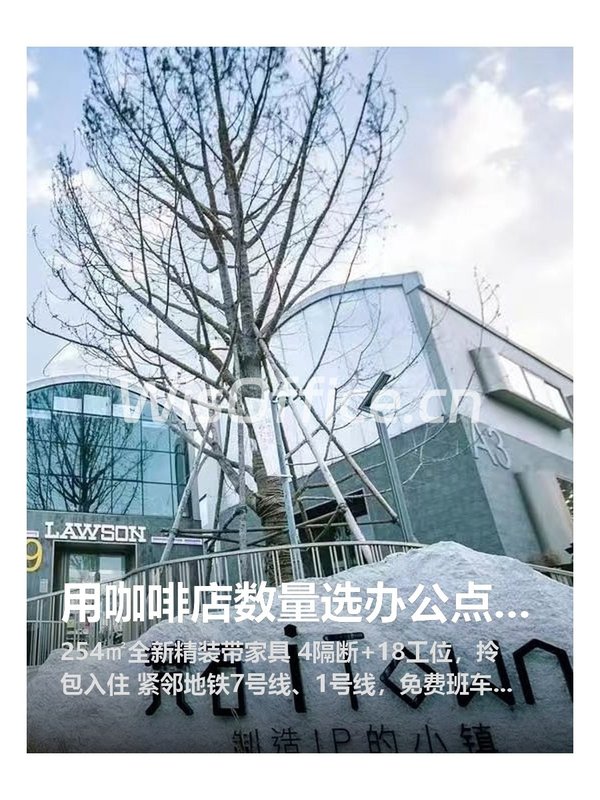 用咖啡店数量选办公点，有讲究 - 首图