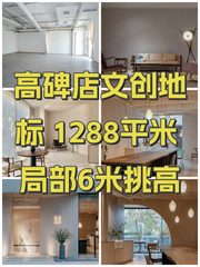 高碑店文创地标 1288平米 局部6米挑高 - 缩略图 1