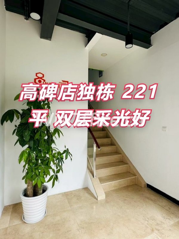 高碑店独栋 221平 双层采光好 - 首图