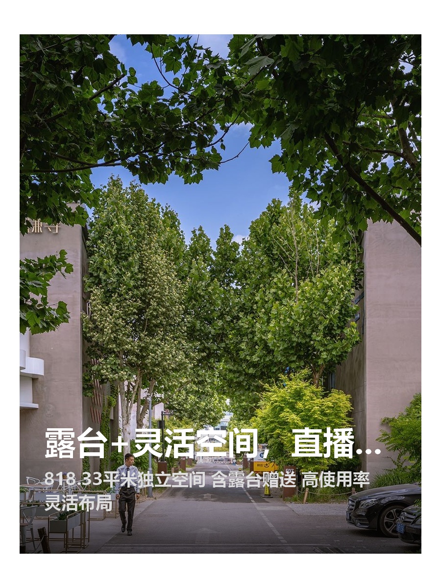 露台+灵活空间，直播办公两不误