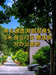 西店记忆410平 紧邻地铁7号线1号线 - 缩略图 1