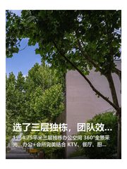 选了三层独栋，团队效率翻倍 - 缩略图 1