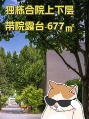 独栋合院上下层带院露台 677㎡ - 缩略图 1