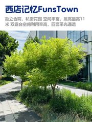 真房｜西店记忆FunsTown |2026平｜双露台 - 缩略图 1