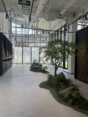 西店记忆H2栋1568平 独院花园 双露台 - 缩略图 6