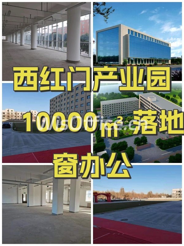 西红门产业园 10000㎡ 落地窗办公 - 首图