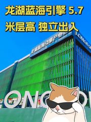 龙湖蓝海引擎 5.7米层高 独立出入 - 缩略图 1