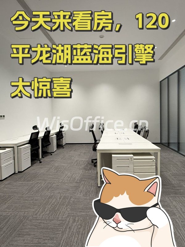 今天来看房，120平龙湖蓝海引擎太惊喜 - 首图