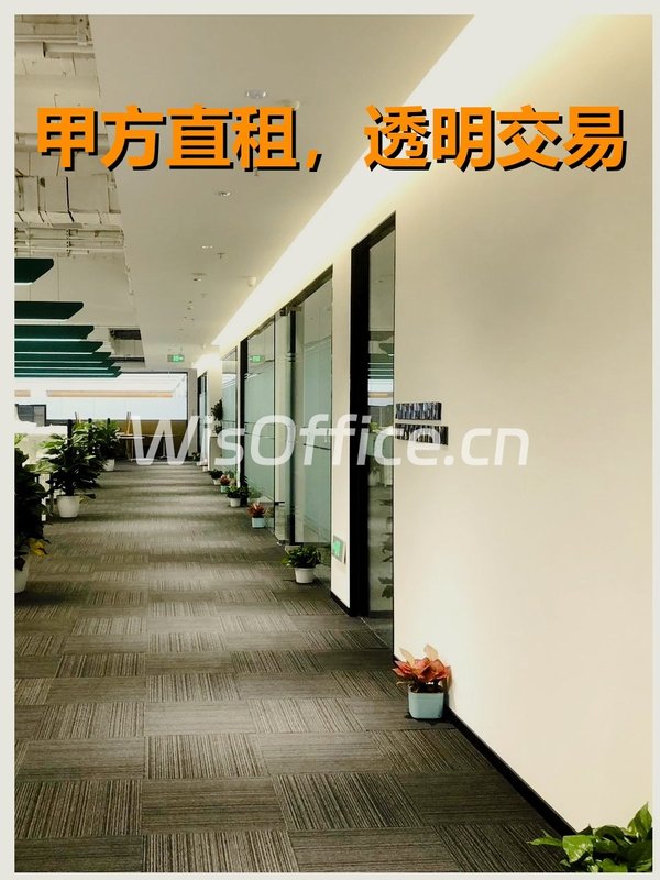 真房｜龙湖蓝海引擎 |219-733平｜3元｜这配置绝了 - 首图