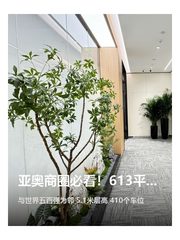 亚奥商圈必看！613平米智慧空间 - 缩略图 1