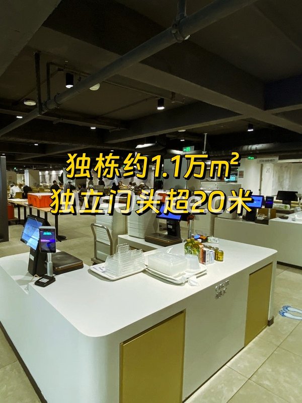 龙湖蓝海引擎 独栋办公 20米门头 - 首图