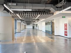 龙湖产业园独栋办公 20米门头显气派 - 缩略图 6