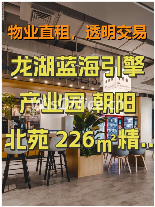 龙湖蓝海引擎产业园 朝阳北苑 226㎡精装拎包 - 首图