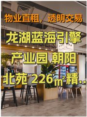 龙湖蓝海引擎产业园 朝阳北苑 226㎡精装拎包 - 缩略图 1