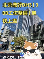 北京鼎好DH3 | 300工位整层 | 地铁上盖 - 缩略图 1