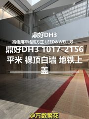 鼎好DH3 1017-2156平米 裸顶白墙 地铁上盖 - 缩略图 1
