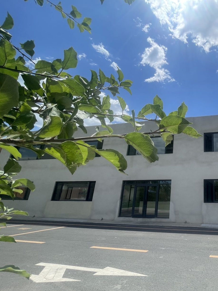 东坝独栋租金低至一份快餐价